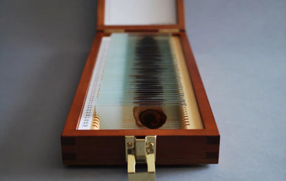 🩸 Dexter Morgan - Trophy Slide Case Box